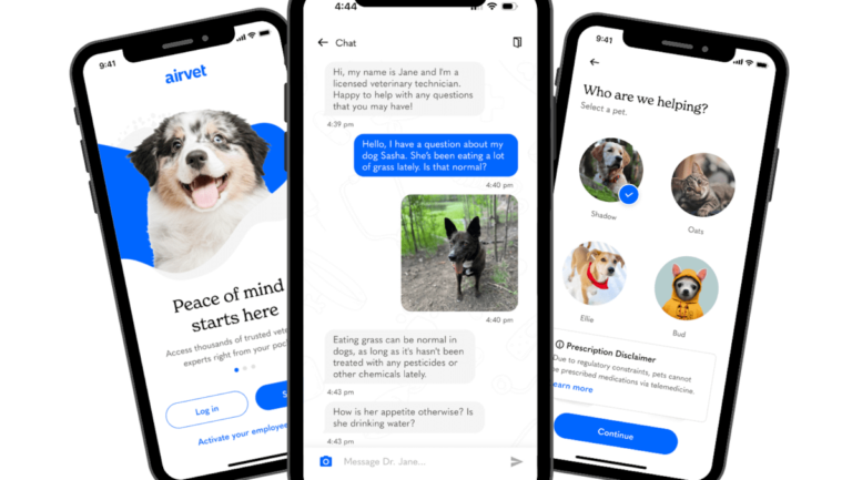 Pet telehealth company Airvet closes on $18.2M to embark on enterprise focus | TechCrunch