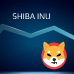 Shiba Inu