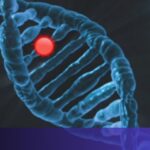 DeepMind's new AI tool can predict genetic diseases