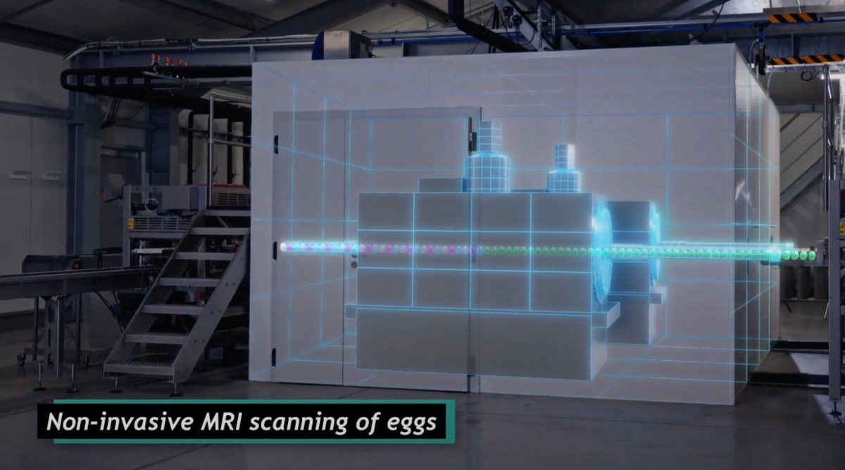 AI revolutionizing MRI scans — A Munich startup banked $32M to scan eggs, and says humans are next