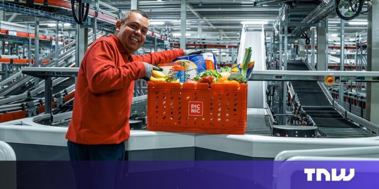 Dutch online supermarket Picnic bags €355mn after international expansion