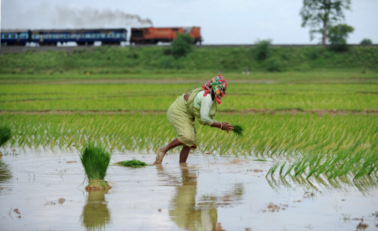 Varaha helps Indian farmers reduce climate-harming practices like burning crop residue and flooding rice fields | TechCrunch