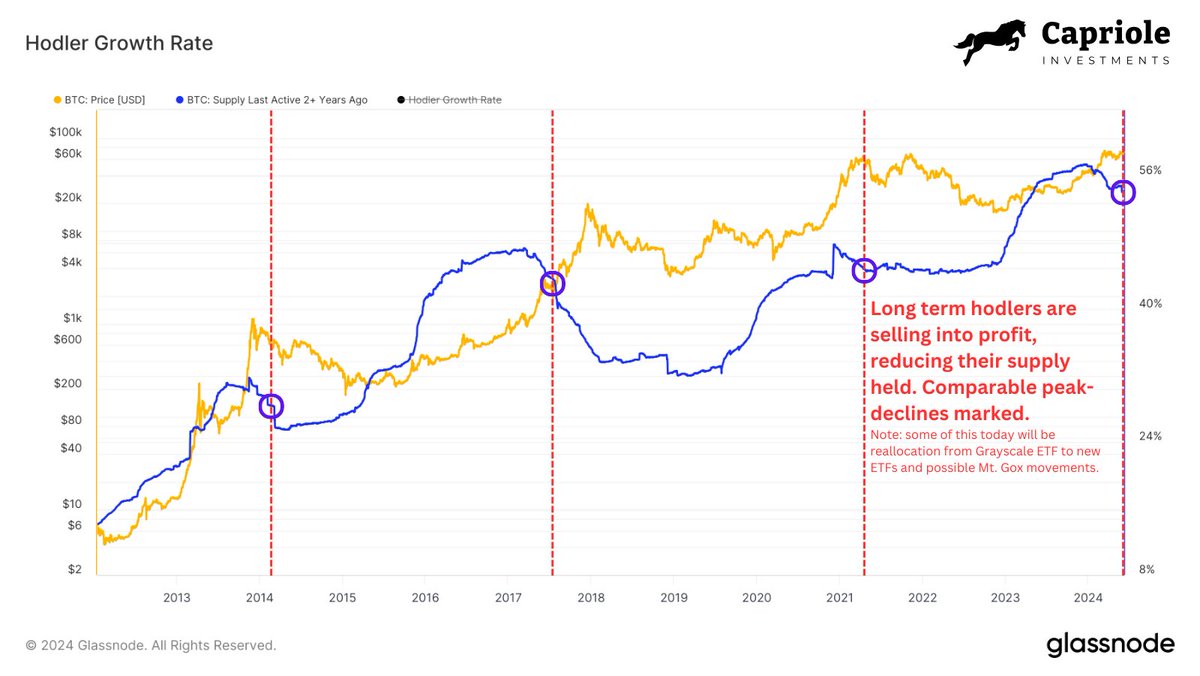 Growth rate of Bitcoin holders.